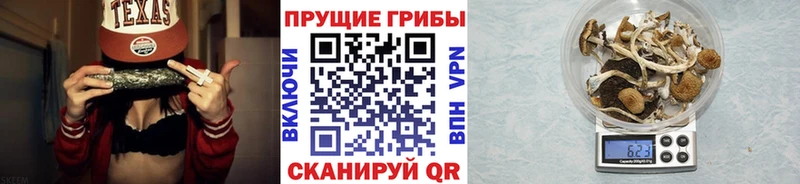 Псилоцибиновые грибы MAGIC MUSHROOMS Мариинск